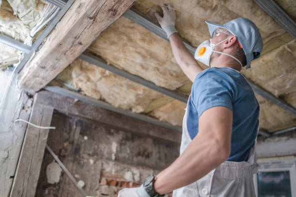 Best Commercial Insulation in Woodsboro, TX